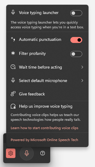 Windows 11 voice typing gear menu: voice typing launcher, automatic punctuation, filter profanity, wait time and microphone